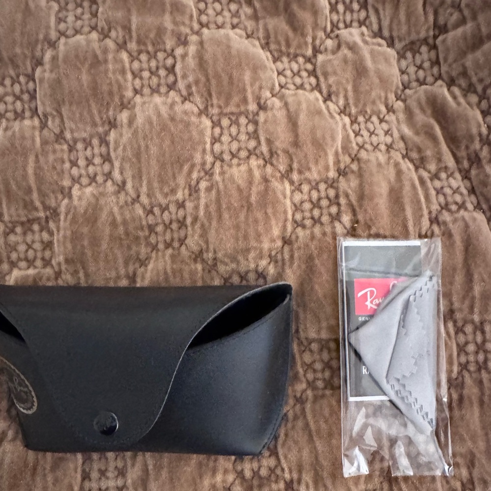 Ray-Ban Black Case with Gray Cloth